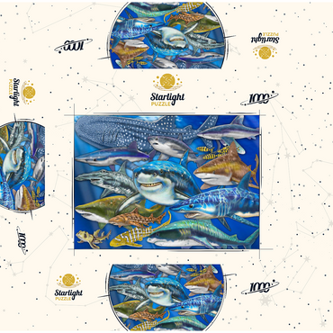 Shark Collage 1000 Jigsaw Puzzle box 3D Modell