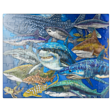 puzzleplate Shark Collage 100 Jigsaw Puzzle