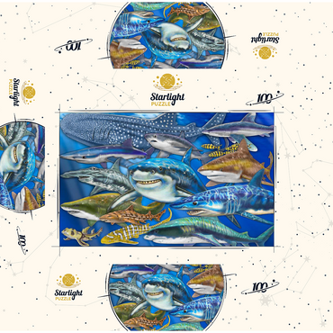 Shark Collage 100 Jigsaw Puzzle box 3D Modell