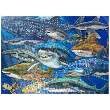 puzzleplate Shark Collage 500 Jigsaw Puzzle