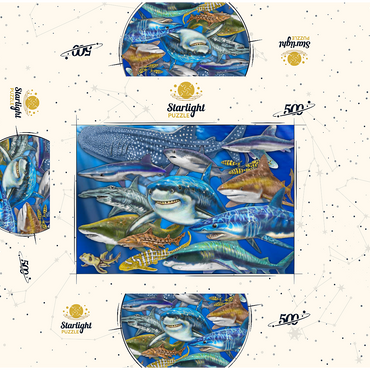 Shark Collage 500 Jigsaw Puzzle box 3D Modell