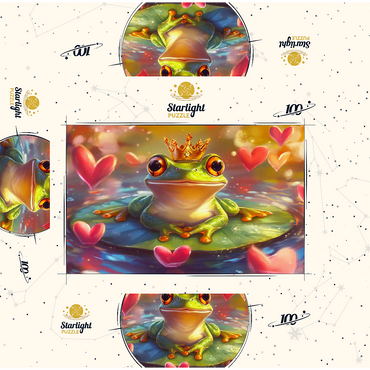 Frog Prince 100 Jigsaw Puzzle box 3D Modell