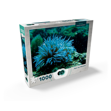 Sea Life Photography: Aqua Sea Anemone 1000 Jigsaw Puzzle box view2