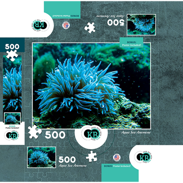 Sea Life Photography: Aqua Sea Anemone 500 Jigsaw Puzzle box 3D Modell