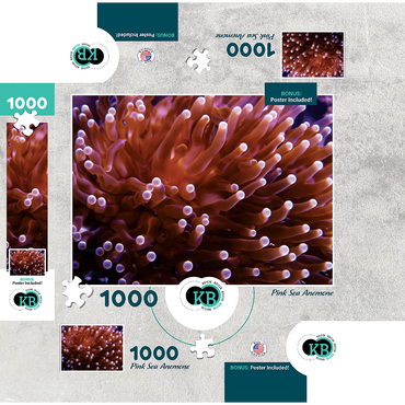 Sea Life Photography: Pink Sea Anemone 1000 Jigsaw Puzzle box 3D Modell