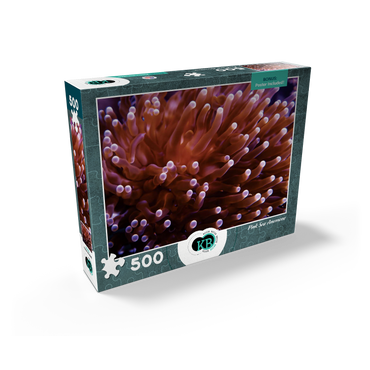 Sea Life Photography: Pink Sea Anemone 500 Jigsaw Puzzle box view2
