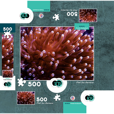 Sea Life Photography: Pink Sea Anemone 500 Jigsaw Puzzle box 3D Modell