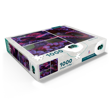 Sea Life Photography: Octopus Collage 1000 Jigsaw Puzzle box view1