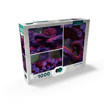 Sea Life Photography: Octopus Collage 1000 Jigsaw Puzzle box view2