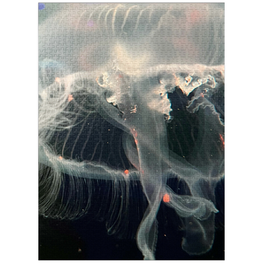 puzzleplate Sea Life Photography: Ocean Jellyfish 1000 Jigsaw Puzzle