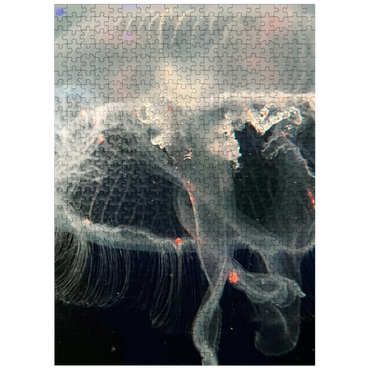 puzzleplate Sea Life Photography: Ocean Jellyfish 500 Jigsaw Puzzle