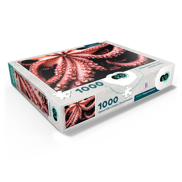 Stained Glass Abstract: Ocean Octopus Transformation 1000 Jigsaw Puzzle box view1