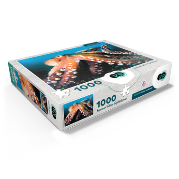 Stained Glass Abstract: Ocean Octopus Cephalopod 1000 Jigsaw Puzzle box view1