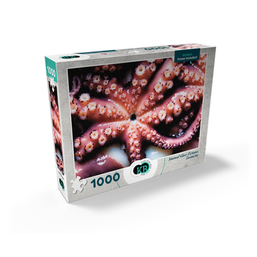 Stained Glass Abstract: Ocean Octopus Tentacles 1000 Jigsaw Puzzle box view2