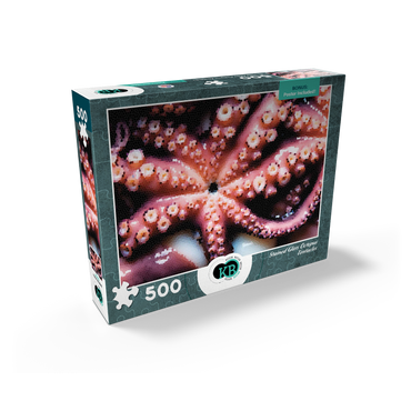 Stained Glass Abstract: Ocean Octopus Tentacles 500 Jigsaw Puzzle box view2