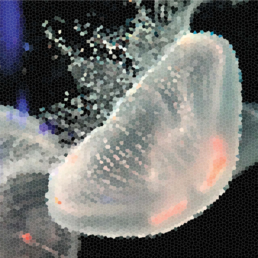 Stained Glass Abstract: Ocean Jellyfish 1000 Jigsaw Puzzle 3D Modell