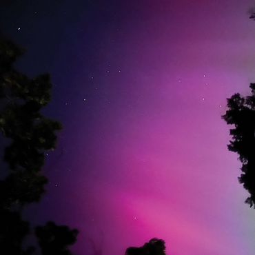 Nature Photography: Northern Lights, Fuchsia Aurora Sky, Minnesota, USA 500 Jigsaw Puzzle 3D Modell