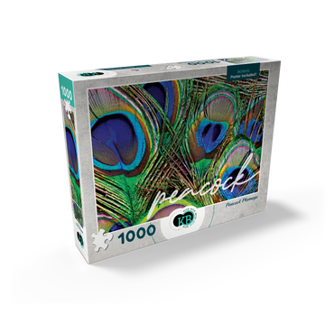 Animal Photography: Peacock Feathers Plumage, Birds no.2 1000 Jigsaw Puzzle box view2