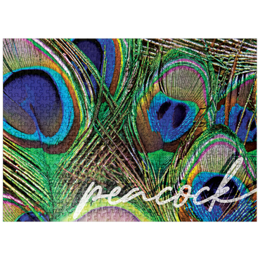 puzzleplate Animal Photography: Peacock Feathers Plumage, Birds no.2 500 Jigsaw Puzzle