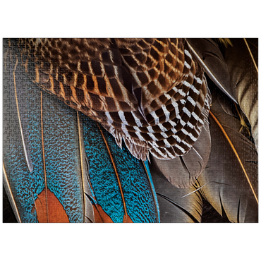 puzzleplate Animal Photography: Fan of Feathers, Birds no.4 1000 Jigsaw Puzzle