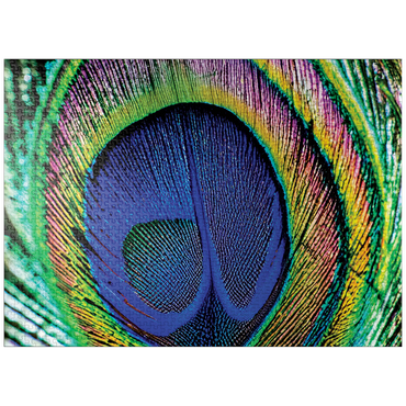 puzzleplate Animal Photography: Peacock Feather Iridescent Eyespot, Birds no.5 1000 Jigsaw Puzzle