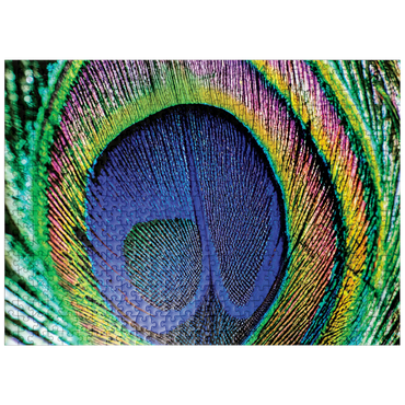 puzzleplate Animal Photography: Peacock Feather Iridescent Eyespot, Birds no.5 500 Jigsaw Puzzle