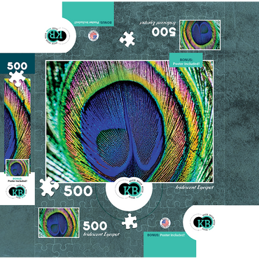 Animal Photography: Peacock Feather Iridescent Eyespot, Birds no.5 500 Jigsaw Puzzle box 3D Modell