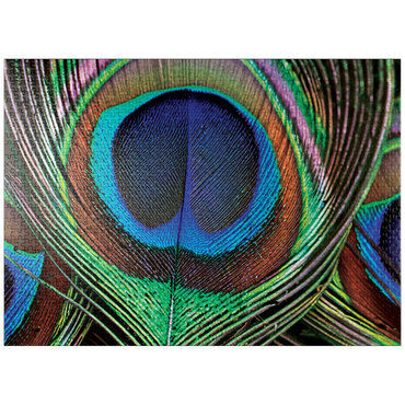 puzzleplate Animal Photography: Peacock Feather Iridescent Eyespot, Birds no.6 1000 Jigsaw Puzzle