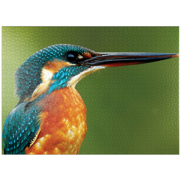 puzzleplate Animal Photography: Birds, Majestic Kingfisher 1000 Jigsaw Puzzle