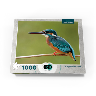 Animal Photography: Birds, Kingfisher In Waiting 1000 Jigsaw Puzzle box view3