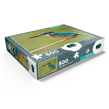 Animal Photography: Birds, Kingfisher In Waiting 500 Jigsaw Puzzle box view1