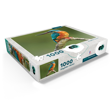 Animal Photography: Birds, Kingfisher Hunting 1000 Jigsaw Puzzle box view1
