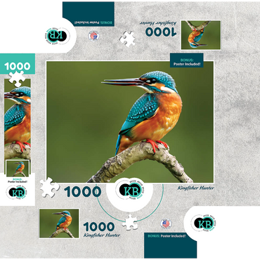 Animal Photography: Birds, Kingfisher Hunting 1000 Jigsaw Puzzle box 3D Modell