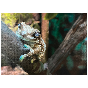 puzzleplate Animal Photography: Zoo Frog Gaze 1000 Jigsaw Puzzle