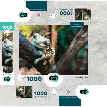 Animal Photography: Zoo Frog Gaze 1000 Jigsaw Puzzle box 3D Modell