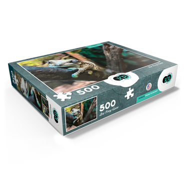 Animal Photography: Zoo Frog Gaze 500 Jigsaw Puzzle box view1