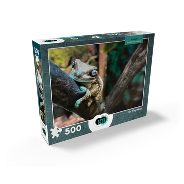 Animal Photography: Zoo Frog Gaze 500 Jigsaw Puzzle box view2
