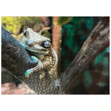 puzzleplate Animal Photography: Zoo Frog Gaze 500 Jigsaw Puzzle