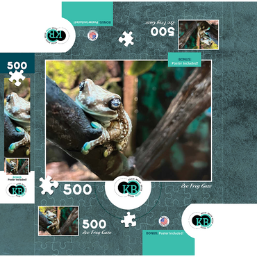 Animal Photography: Zoo Frog Gaze 500 Jigsaw Puzzle box 3D Modell