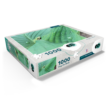 Animal Photography: Frog On Hosta Leaves 1000 Jigsaw Puzzle box view1