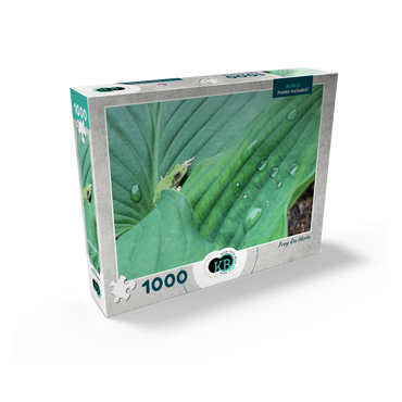 Animal Photography: Frog On Hosta Leaves 1000 Jigsaw Puzzle box view2