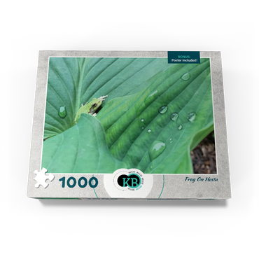 Animal Photography: Frog On Hosta Leaves 1000 Jigsaw Puzzle box view3