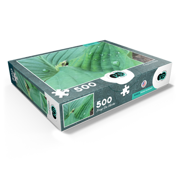 Animal Photography: Frog On Hosta Leaves 500 Jigsaw Puzzle box view1