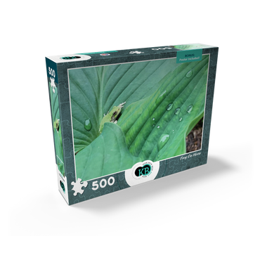 Animal Photography: Frog On Hosta Leaves 500 Jigsaw Puzzle box view2