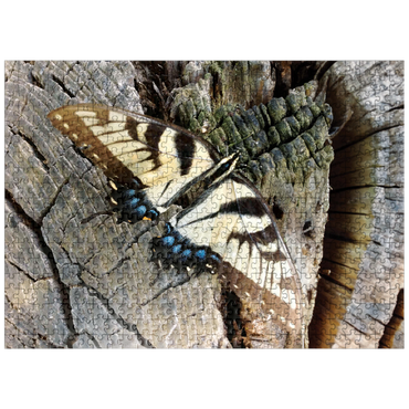 puzzleplate Animal Photography: Butterfly On Wood 500 Jigsaw Puzzle