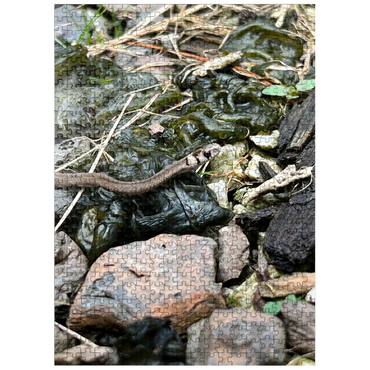 puzzleplate Animal Photography: Snake Adventure 500 Jigsaw Puzzle