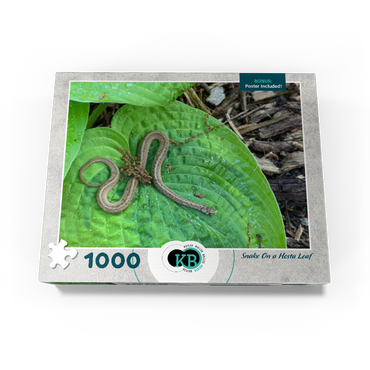 Animal Photography: Snake On A Hosta Leaf 1000 Jigsaw Puzzle box view3