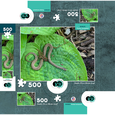 Animal Photography: Snake On A Hosta Leaf 500 Jigsaw Puzzle box 3D Modell