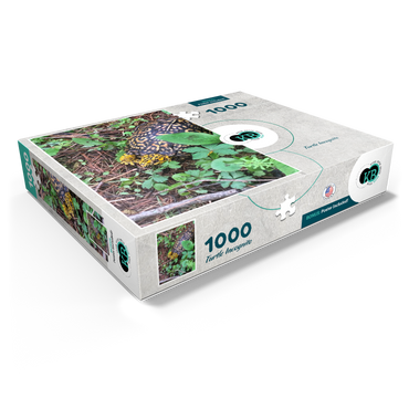 Animal Photography: Turtle Incognito 1000 Jigsaw Puzzle box view1