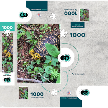 Animal Photography: Turtle Incognito 1000 Jigsaw Puzzle box 3D Modell